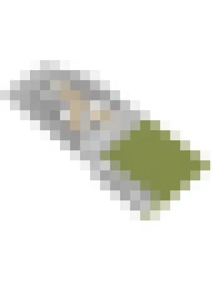 Monsterseweg 149 's-Gravenzande thumbnail 40