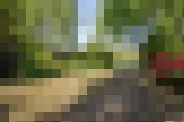 Monsterseweg 15 A Den Haag thumbnail 15