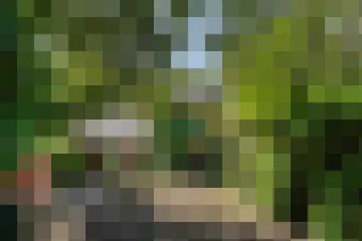 Monsterseweg 15 A Den Haag thumbnail 6