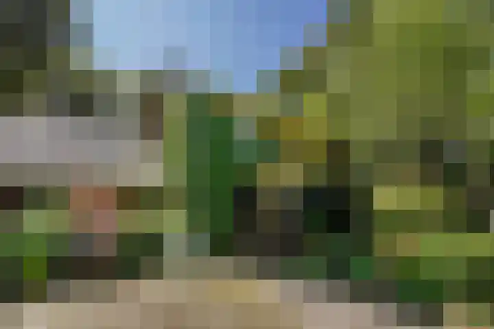 Monsterseweg 15 A Den Haag thumbnail 7