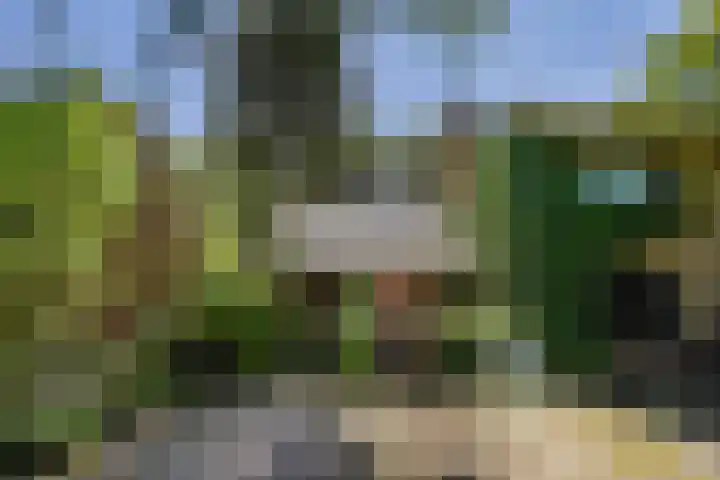 Monsterseweg 15 A Den Haag thumbnail 9