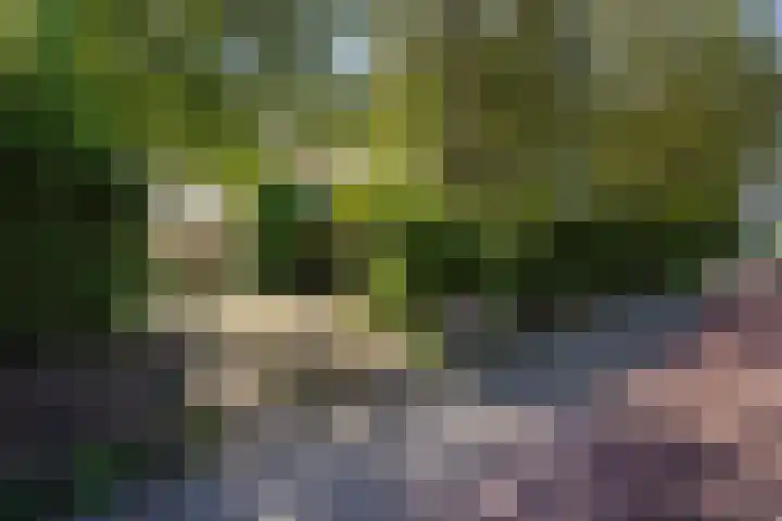 Monsterseweg 15 A Den Haag thumbnail 95