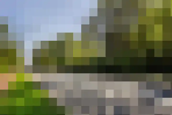 Monsterseweg 15 A Den Haag thumbnail 97