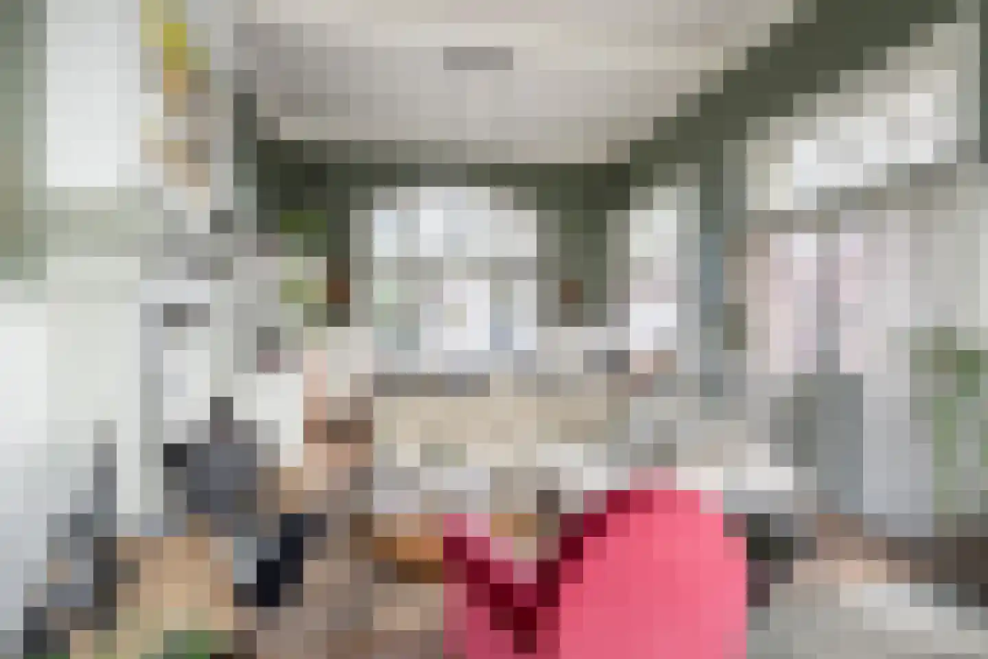 Monsterseweg 23 's-Gravenzande thumbnail 13