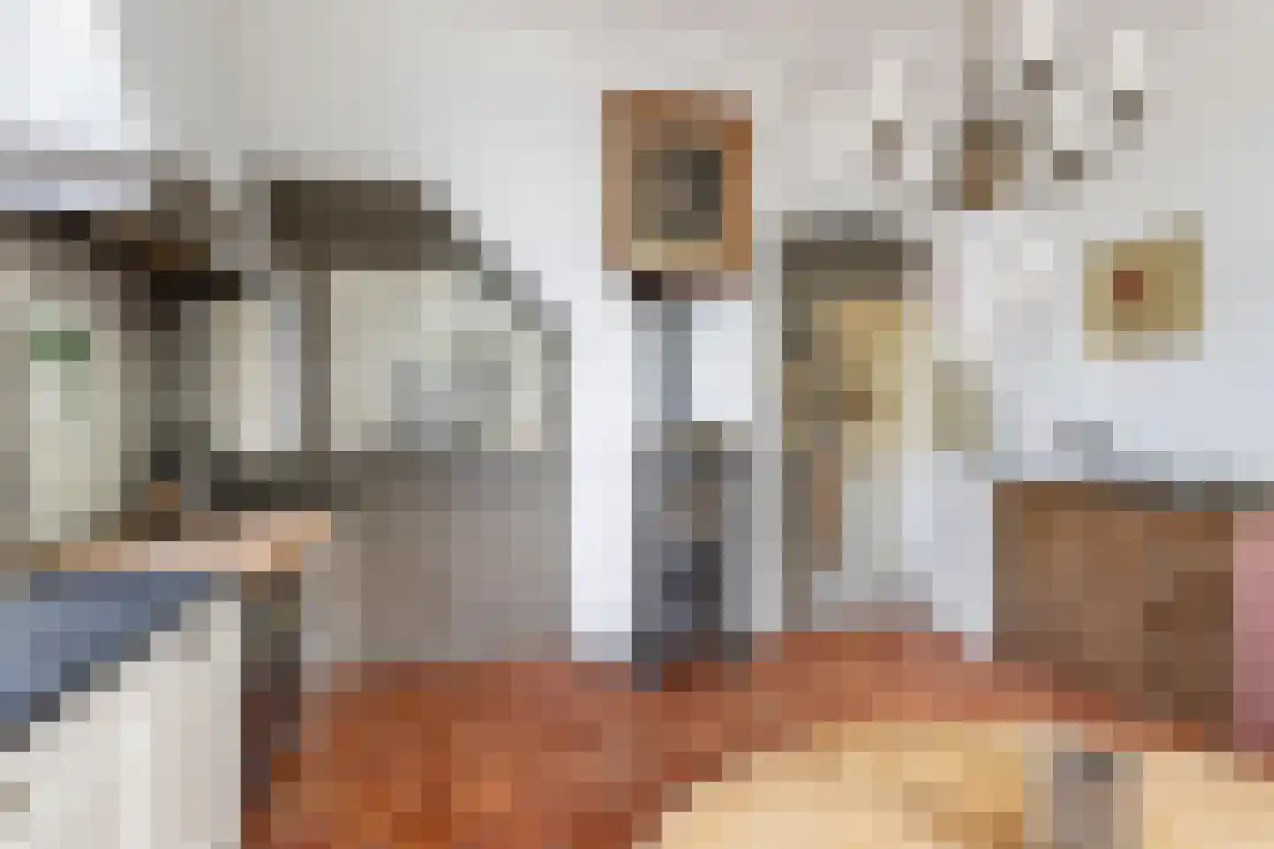 Monsterseweg 23 's-Gravenzande thumbnail 20