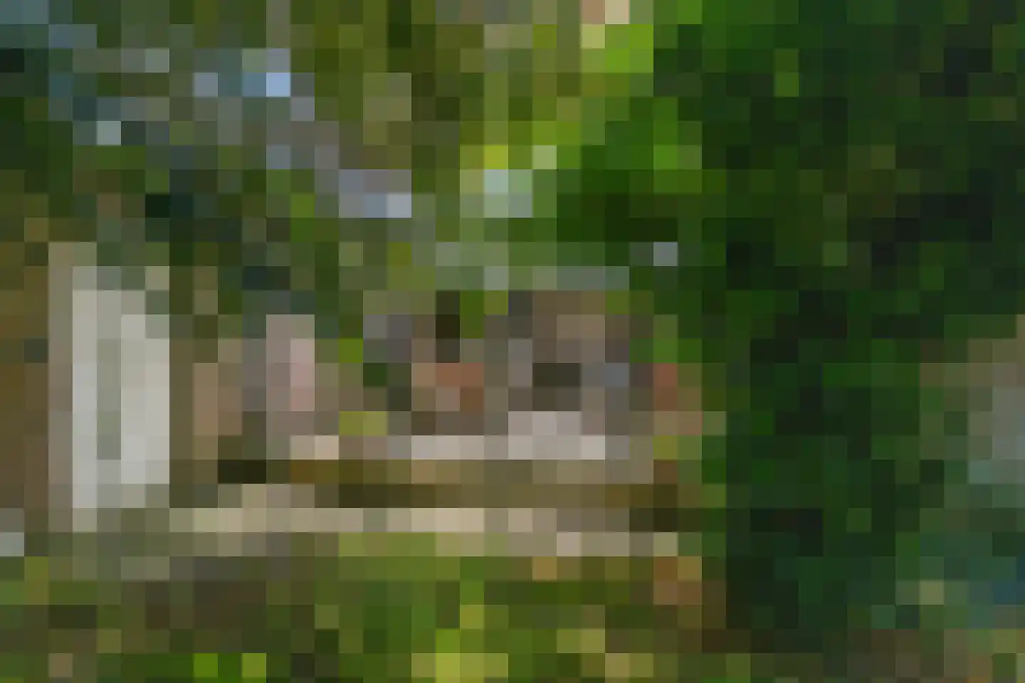 Monsterseweg 23 's-Gravenzande thumbnail 31