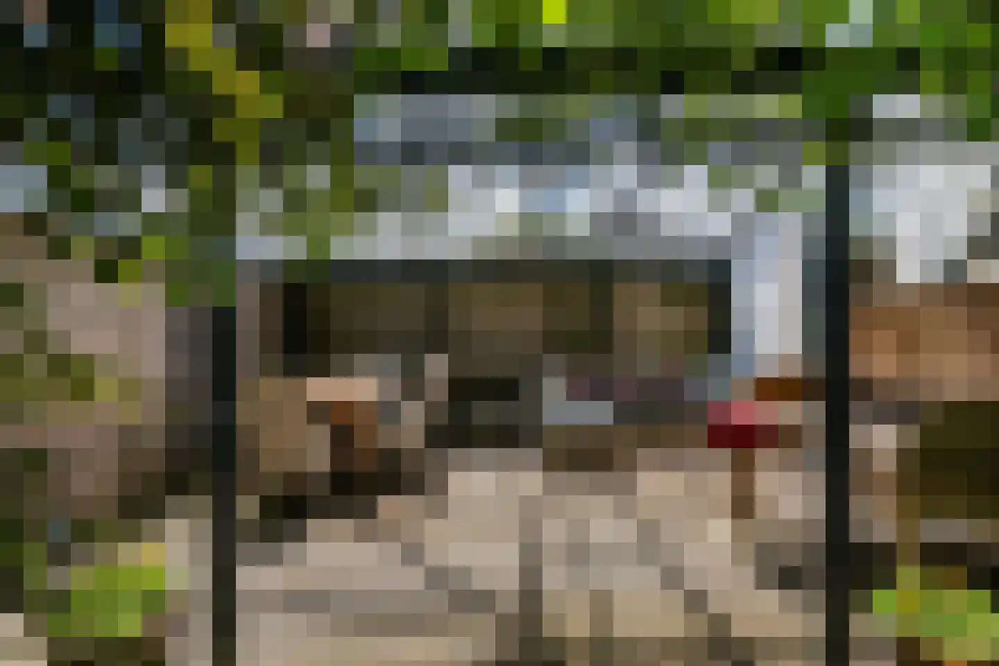 Monsterseweg 23 's-Gravenzande thumbnail 32