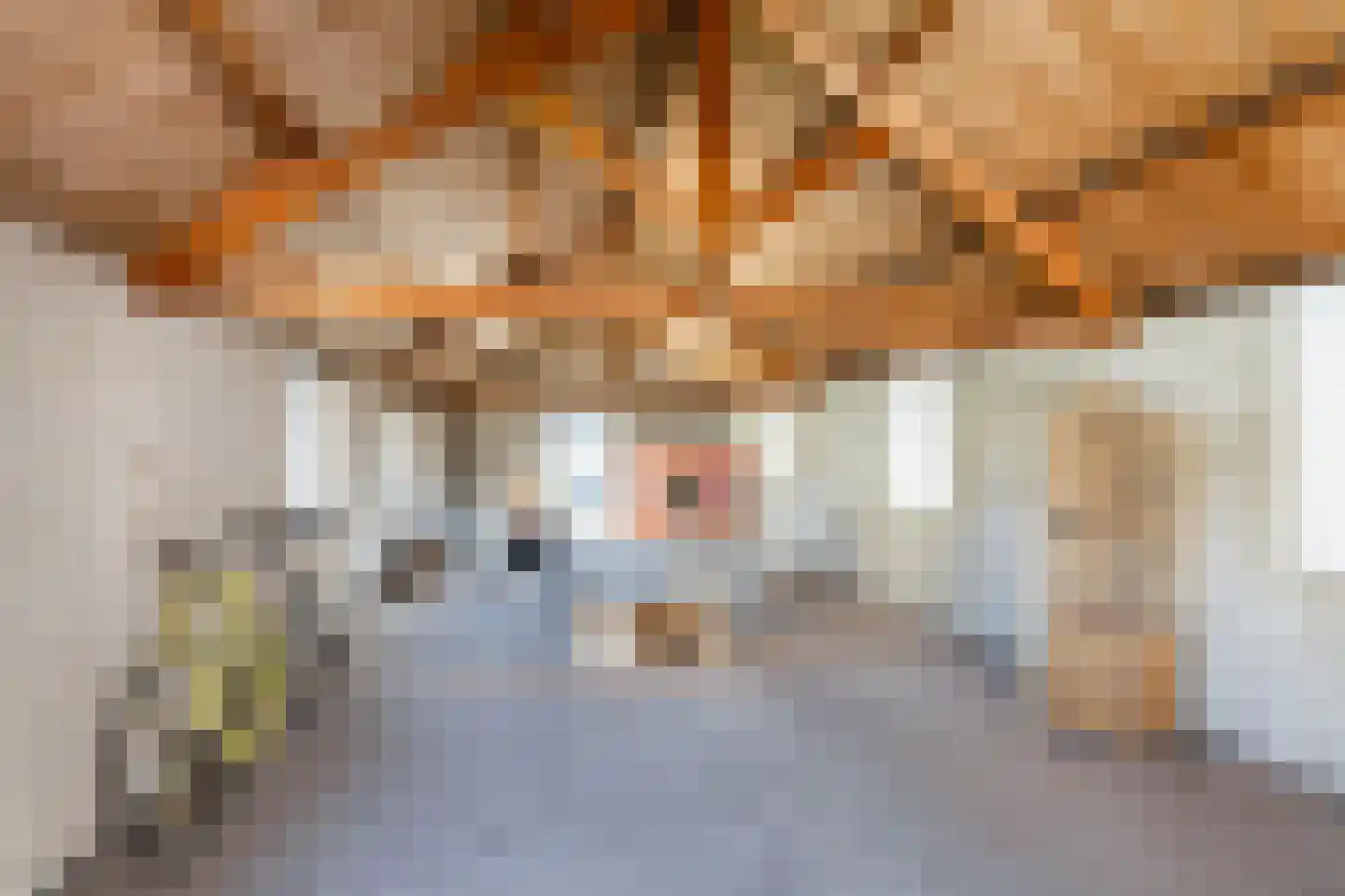 Monsterseweg 23 's-Gravenzande thumbnail 41