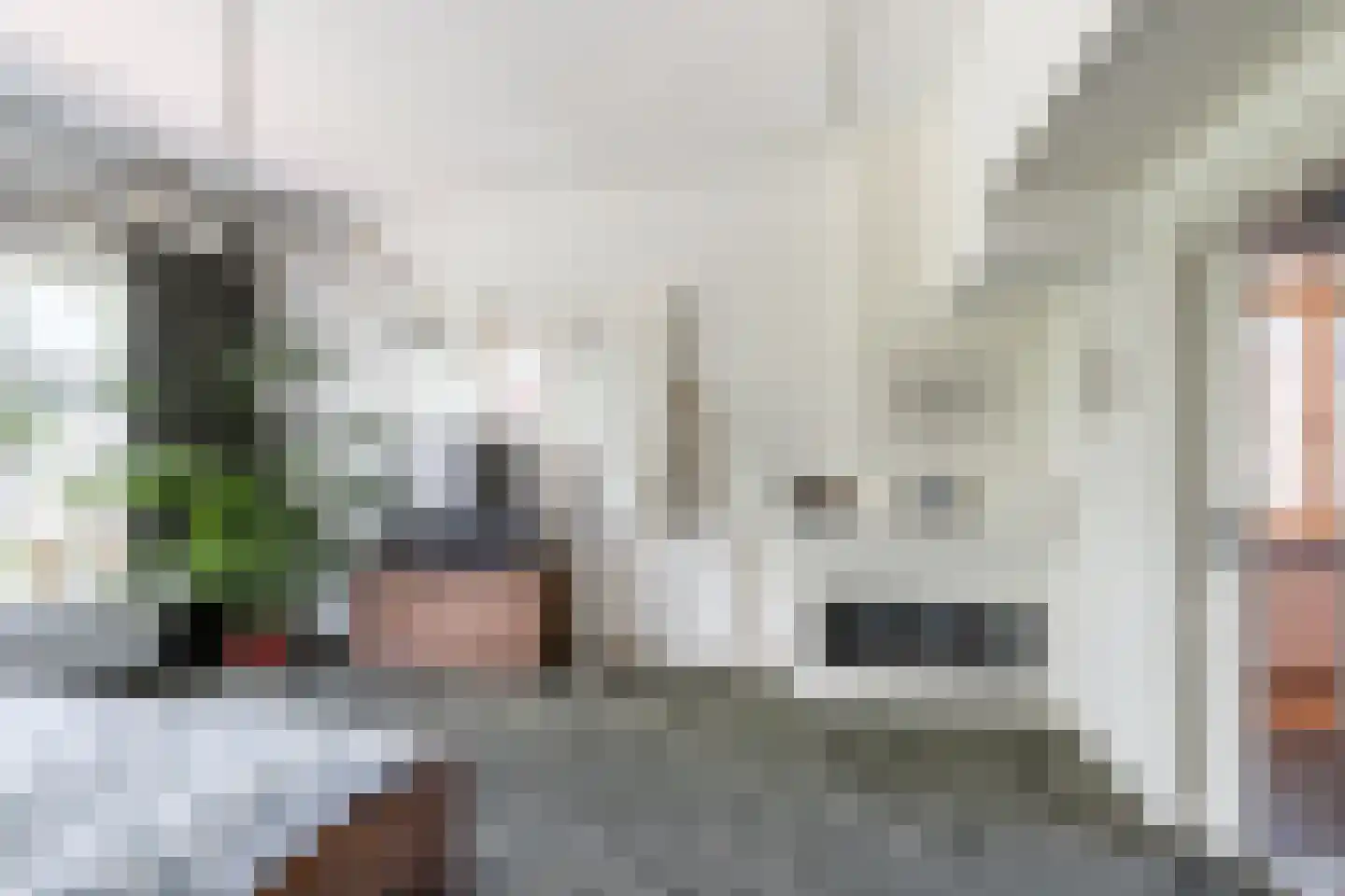 Monsterseweg 23 's-Gravenzande thumbnail 45