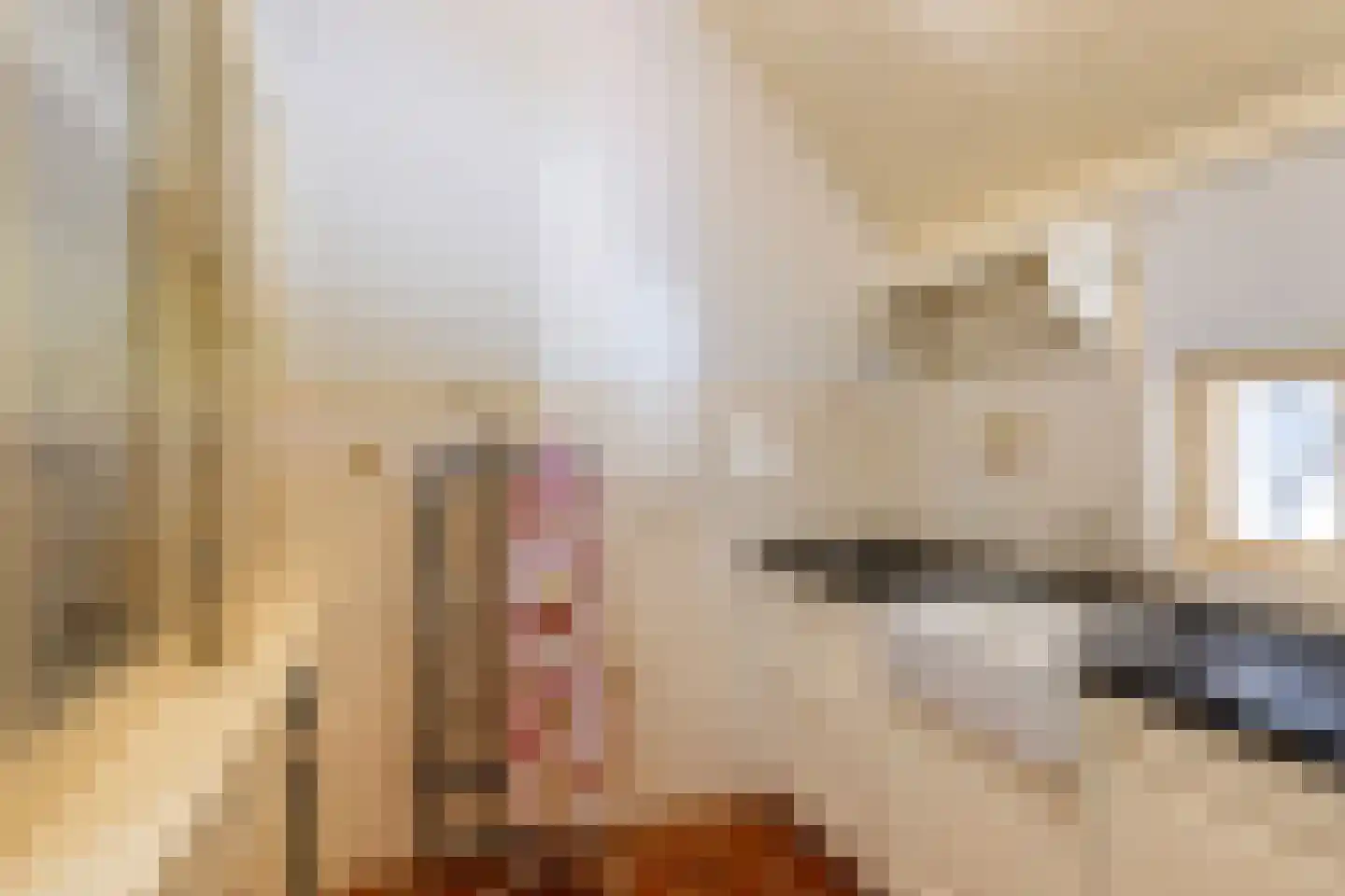 Monsterseweg 23 's-Gravenzande thumbnail 50