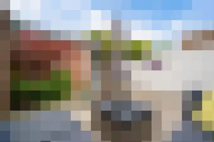 Monsterseweg 24 Poeldijk thumbnail 4