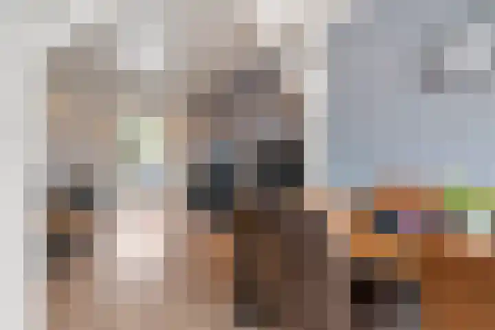 Monsterseweg 24 Poeldijk thumbnail 5
