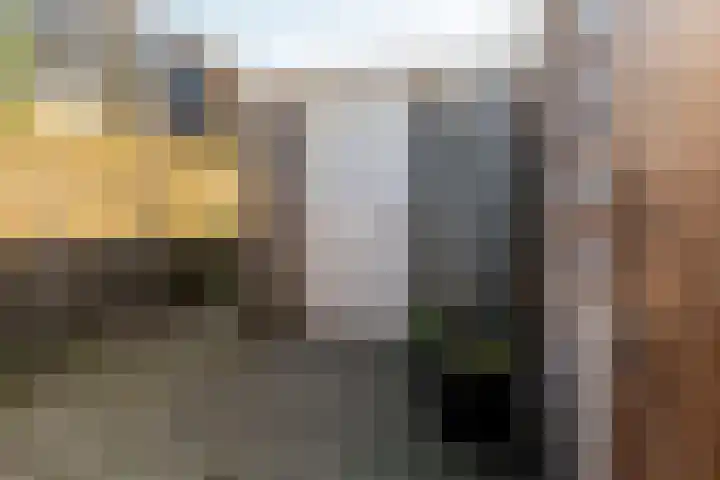 Monsterseweg 29 C 's-Gravenzande thumbnail 41