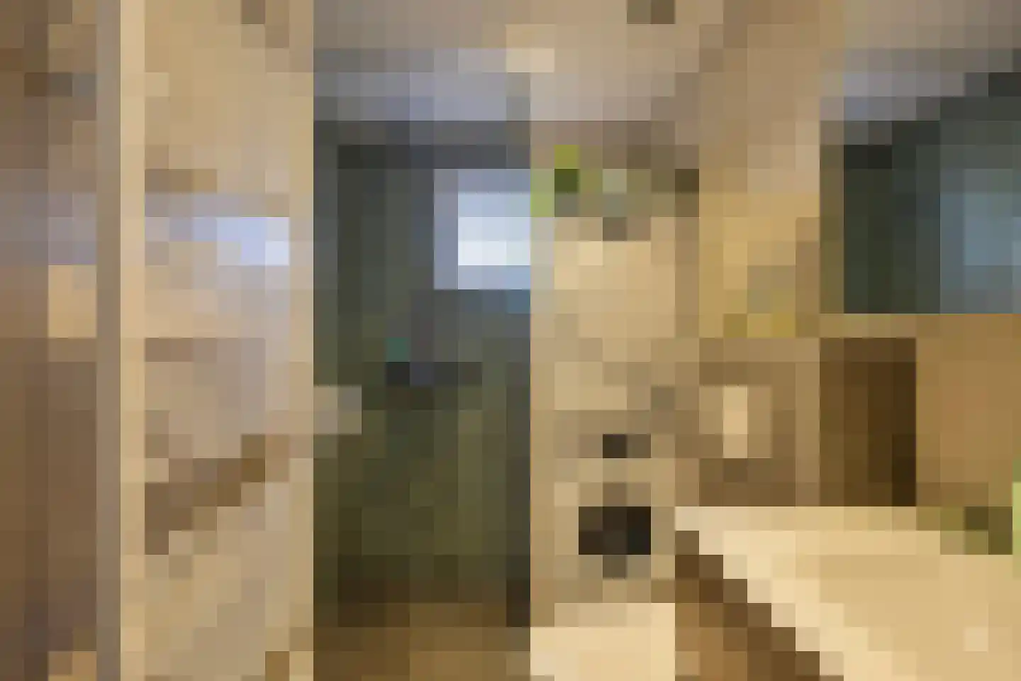 Monsterseweg 36 's-Gravenzande thumbnail 11