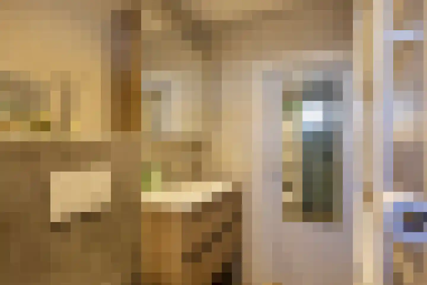 Monsterseweg 36 's-Gravenzande thumbnail 12