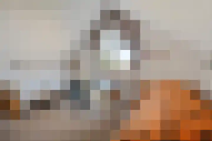 Monsterseweg 41 A Poeldijk thumbnail 17