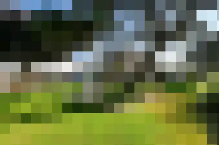Monsterseweg 41 A Poeldijk thumbnail 25