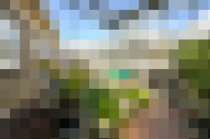Monsterseweg 41 A Poeldijk thumbnail 26