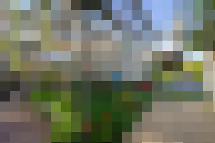 Monsterseweg 41 A Poeldijk thumbnail 27