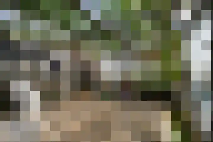 Monsterseweg 41 A Poeldijk thumbnail 29