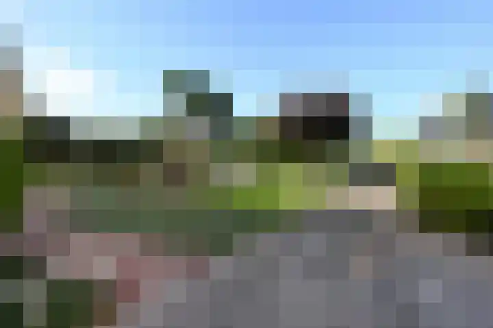 Monsterseweg 41 A Poeldijk thumbnail 31