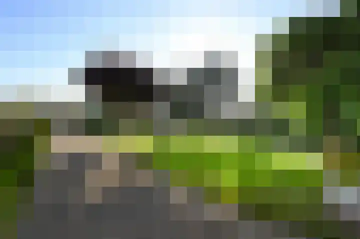 Monsterseweg 41 A Poeldijk thumbnail 32