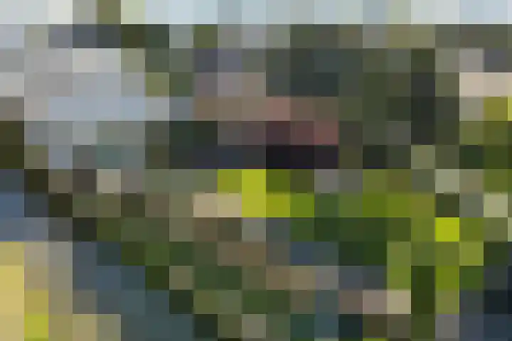 Monsterseweg 41 A Poeldijk thumbnail 33