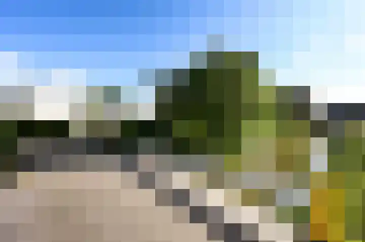 Monsterseweg 41 A Poeldijk thumbnail 35