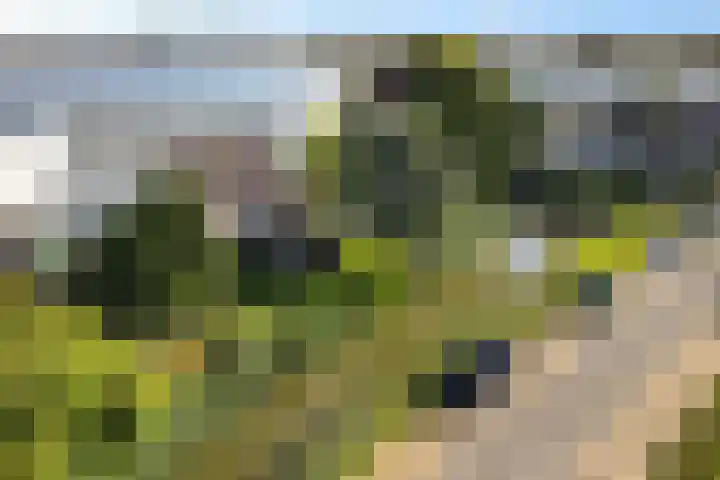 Monsterseweg 41 A Poeldijk thumbnail 37