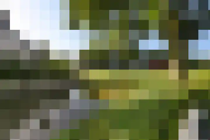 Monsterseweg 41 A Poeldijk thumbnail 39