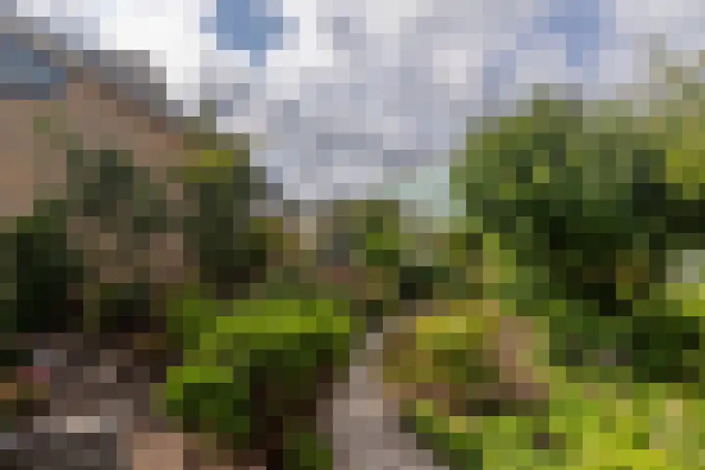 Monsterseweg 72 A 's-Gravenzande thumbnail 24