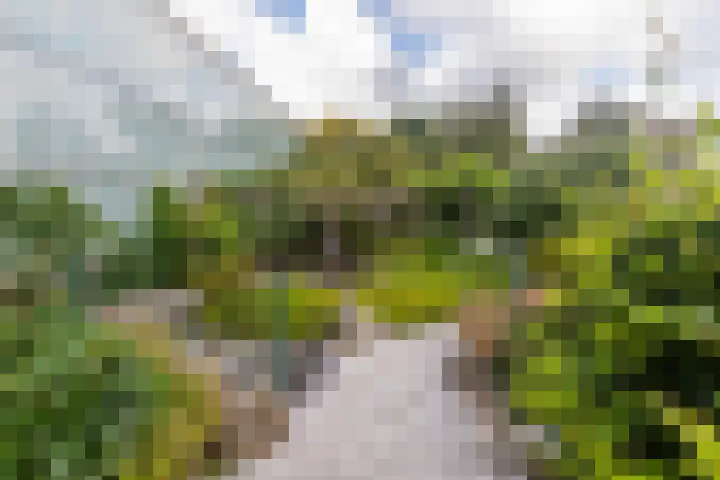 Monsterseweg 72 A 's-Gravenzande thumbnail 27