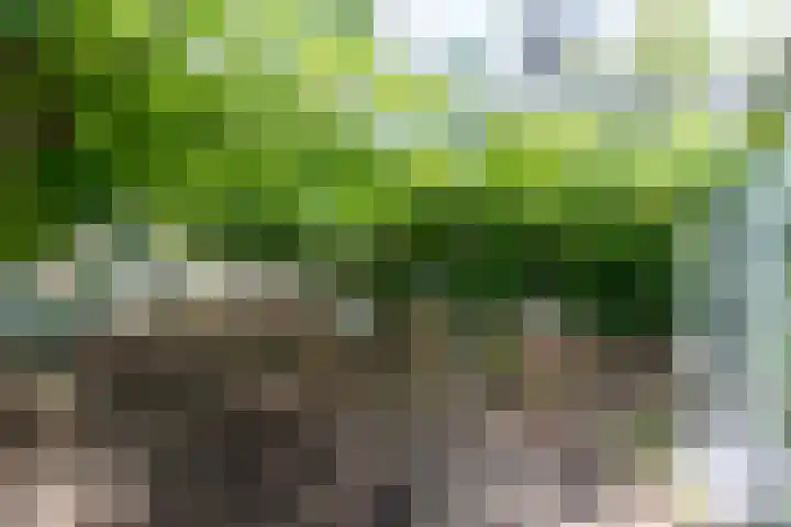 Monsterseweg 80 Poeldijk thumbnail 10