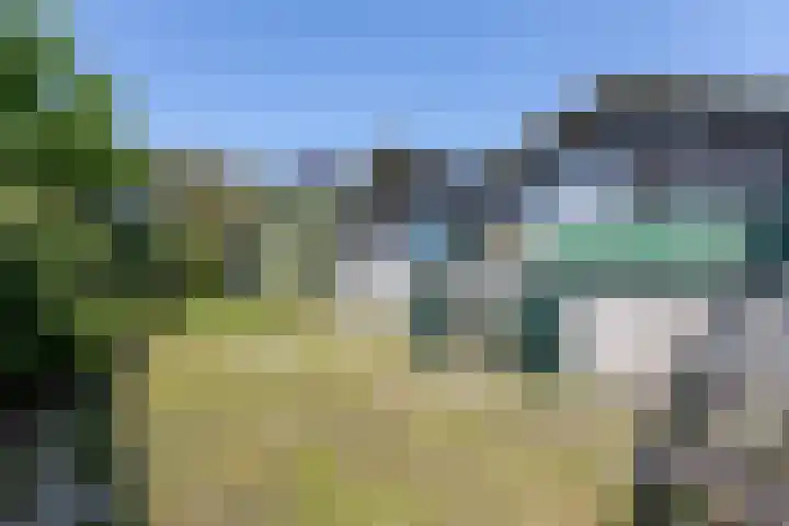Monsterseweg 80 Poeldijk thumbnail 14