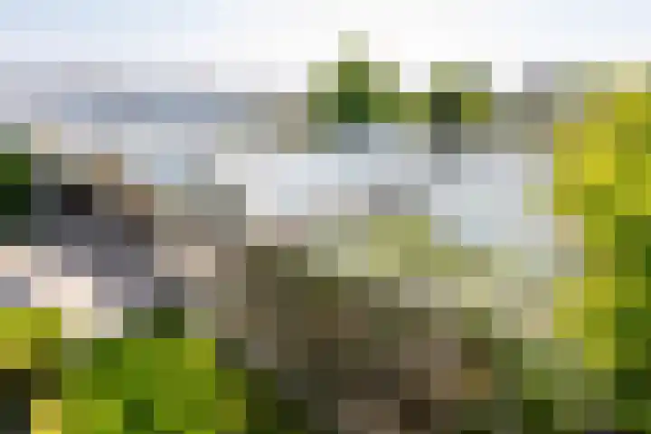 Monsterseweg 80 Poeldijk thumbnail 15