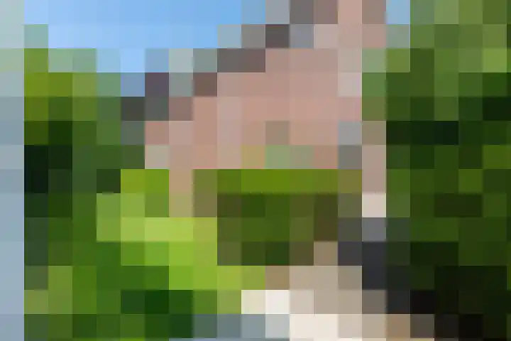 Monsterseweg 80 Poeldijk thumbnail 17
