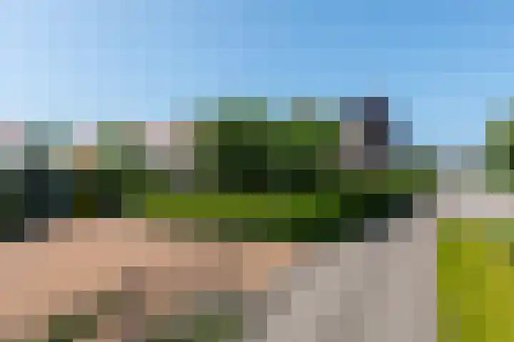 Monsterseweg 80 Poeldijk thumbnail 5