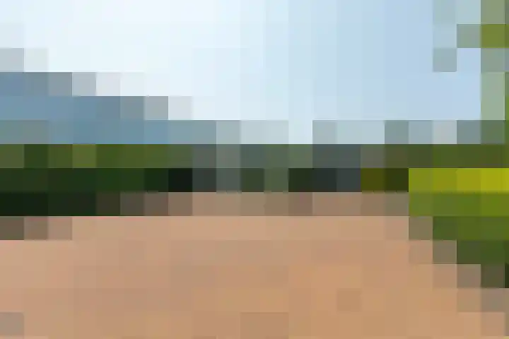 Monsterseweg 80 Poeldijk thumbnail 6