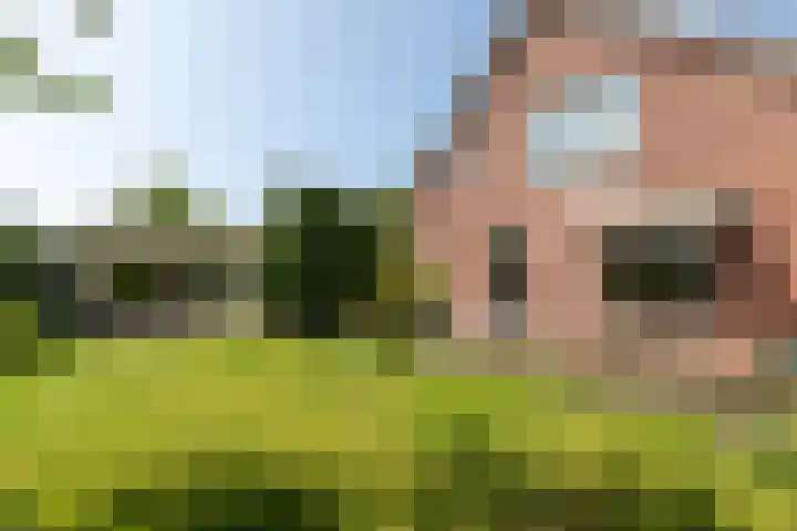 Monsterseweg 80 Poeldijk thumbnail 7