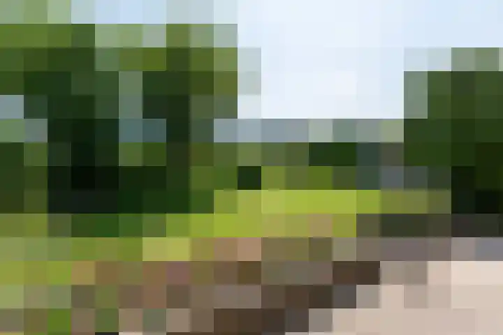 Monsterseweg 80 Poeldijk thumbnail 8