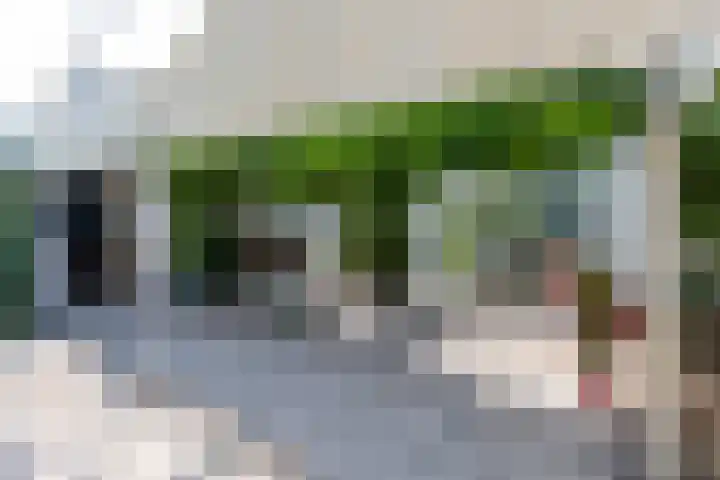 Monsterseweg 80 Poeldijk thumbnail 9