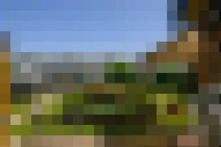 Monsterseweg 91 's-Gravenzande thumbnail 15