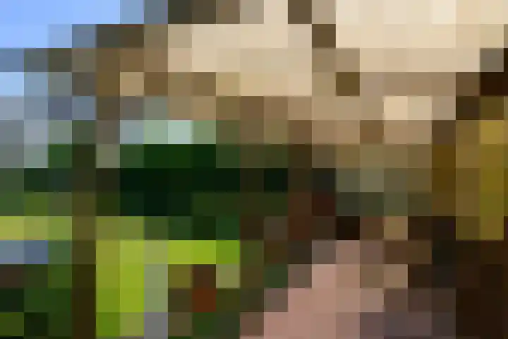 Monsterseweg 91 's-Gravenzande thumbnail 16