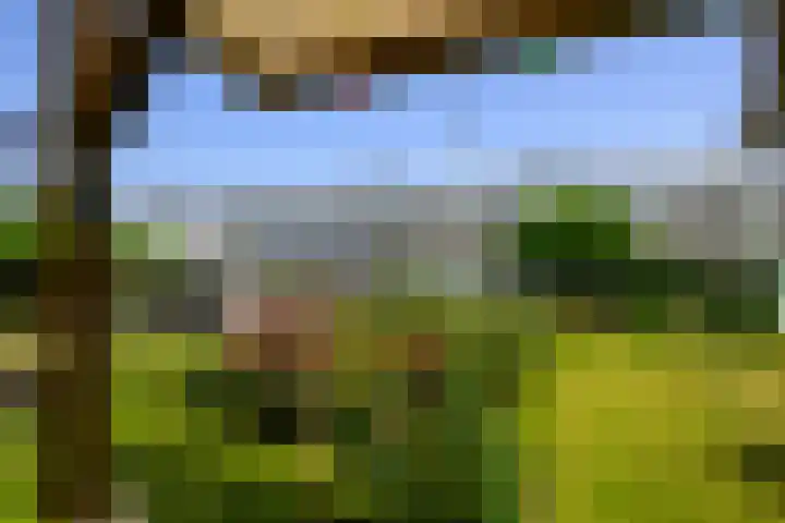Monsterseweg 91 's-Gravenzande thumbnail 18