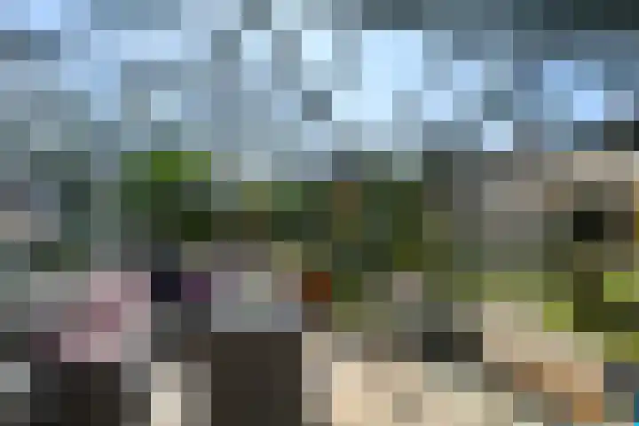 Monsterseweg 91 's-Gravenzande thumbnail 21