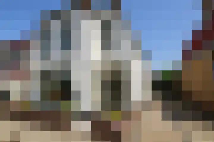 Monsterseweg 91 's-Gravenzande thumbnail 43
