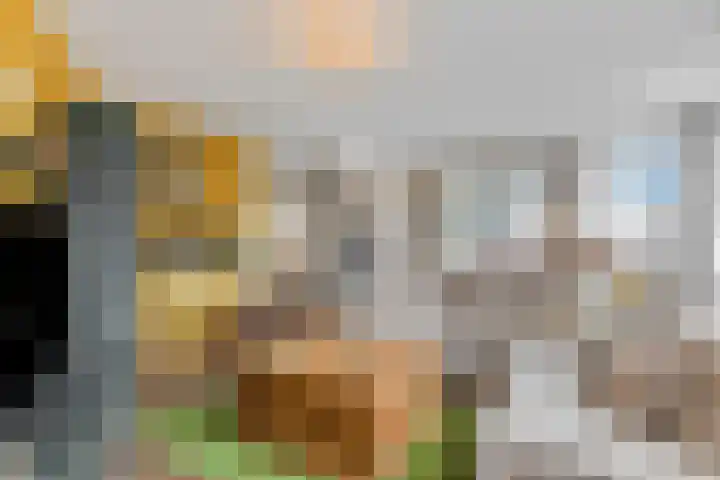 Monsterstraat 23 Oss thumbnail 5