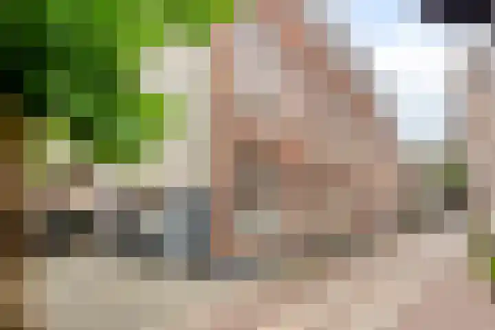 Monsterstraat 4 A Oss thumbnail 16