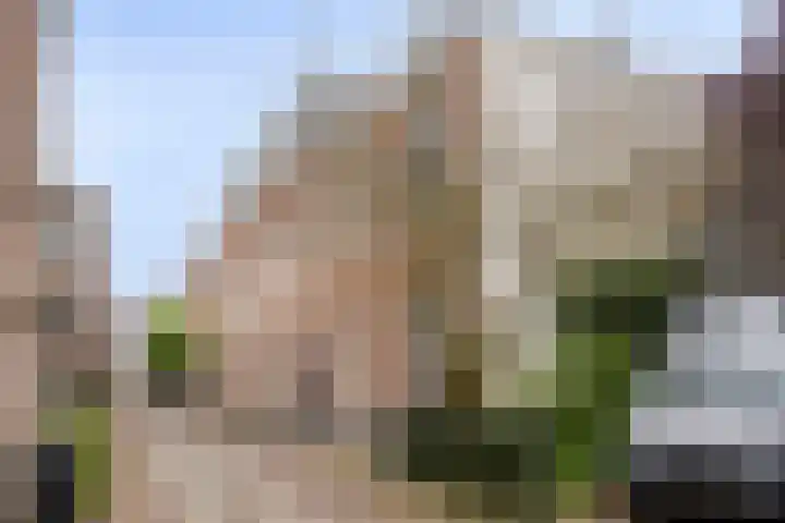 Monsterstraat 4 A Oss thumbnail 18