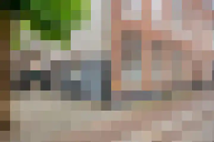 Monsterstraat 4 A Oss thumbnail 20